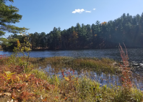 Get Your Outdoor Fix At These 8 State Parks In New York