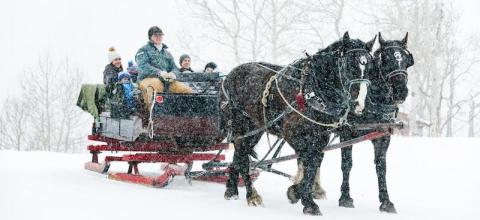 6 Horse-Drawn Sleigh Rides In Utah That Will Take You Through A Magical Winter Wonderland