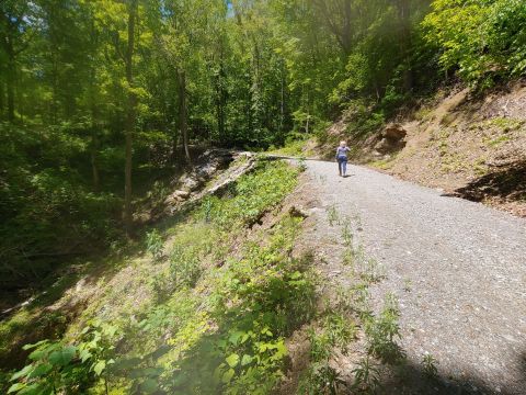 This 1.8-Mile Trail In Leads Leads To A Waterfall And Ruins Of An Old Homestead In North Carolina