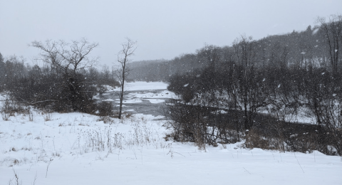 11 Picturesque Trails In West Virginia That Are Perfect For Winter Hiking