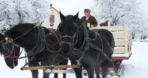 Live Out Your Favorite Christmas Story At Dickens: A Family Holiday Event In Colorado