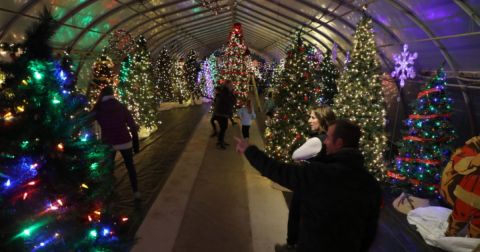 There Is An Entire Christmas Farm In Michigan And It's Absolutely Delightful