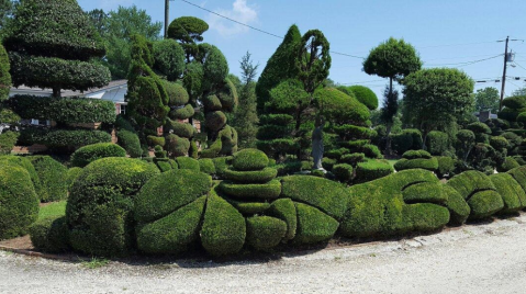 Take A Scenic Hike In South Carolina And Then Go Visit The Best Topiary Garden In The State