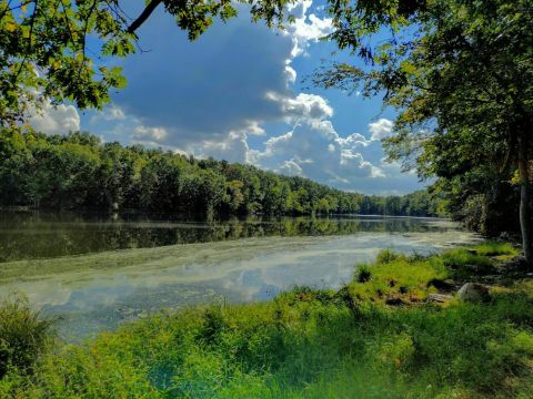 This Secluded State Park In New York Is So Worthy Of An Adventure