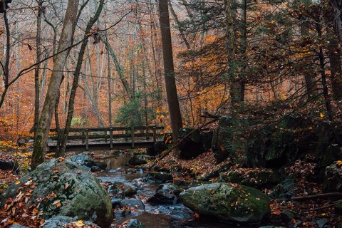 Hacklebarney State Park Is A Little-Known Park In New Jersey That Is Perfect For Your Next Outing