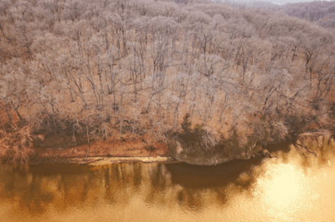 Palisades-Kepler State Park In Iowa Is One Of America's Most Incredible Dark Sky Parks