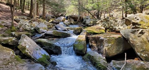 Audubon Loop Trail In Pennsylvania Will Lead You Straight To A Crystal-Clear Waterfall