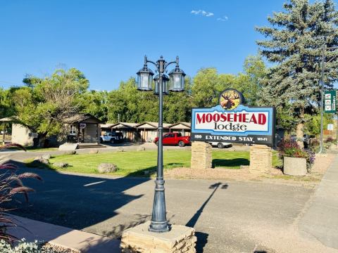 The Moosehead Lodge Is A Historic Roadside Motel In Colorado That You Will Want To Visit