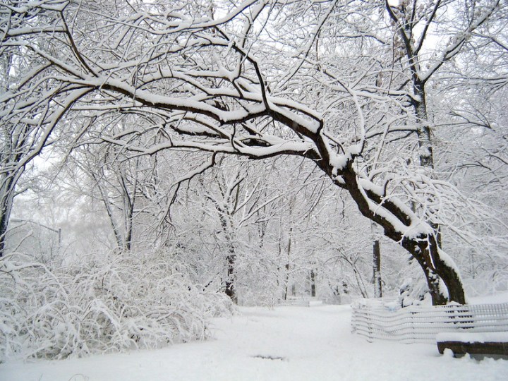 winter storms in New York