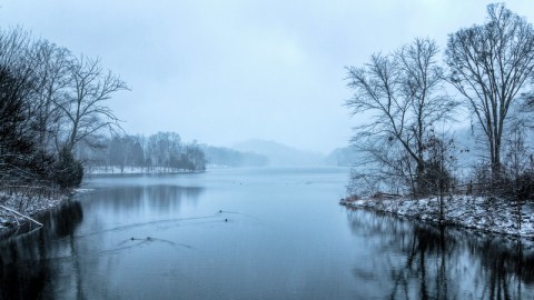 Radnor Lake In Nashville Completely Transforms In The Winter Months