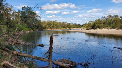 The Unrivaled Waterfront Hike Near New Orleans Everyone Should Take At Least Once