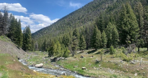 The Little-Known Hot Springs In Idaho You Can Only Reach By Hiking This 5-Mile Trail