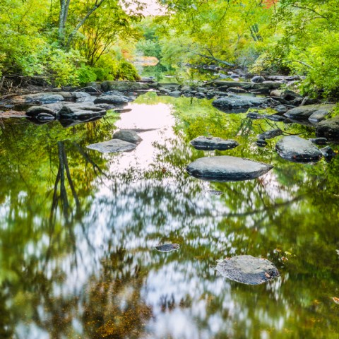 Stepstone Falls Is A Beginner-Friendly Waterfall Trail In Rhode Island That's Great For A Family Hike