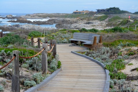 Asilomar State Beach Boardwalk In Northern California Leads To One Of The Most Scenic Views In The State