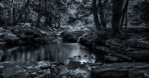 The Little-Known Waterfall In Pennsylvania You Can Reach By Hiking This 2.7-Mile Trail