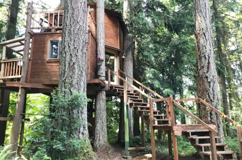 Sleep Among Enormous Douglas Firs At AirBnTree In Washington