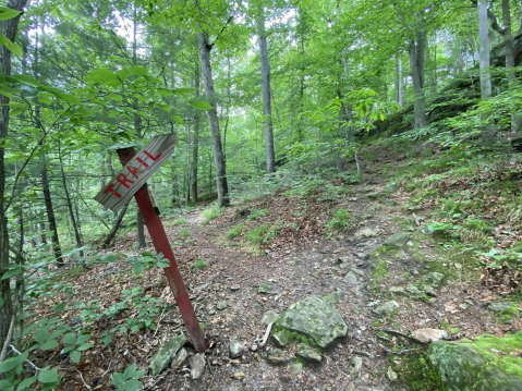 The 4.5-Mile Laurel, Turkey Ridge and Blue Heron Trail In Kentucky Takes You Through An Enchanted Forest