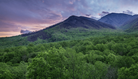 The Historic Newfound Gap In Tennessee That Will Lead You To A Magnificent Overlook