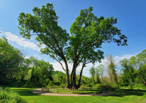 The Hike Outside Greater Cleveland That Leads To The Most Unforgettable Destination