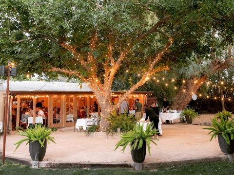 Dine Under A Gargantuan Tree In Arizona When You Visit The Farm At South Mountain