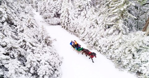 Act Quickly, West Virginia's Snowshoe Mountain Sleigh Rides Are Only Offered For A Short Time Each Winter