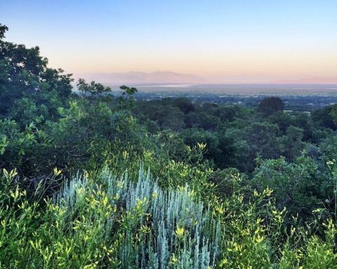 The One Loop Trail In Utah That's Perfect For A Short Day Hike, No Matter What Time Of Year