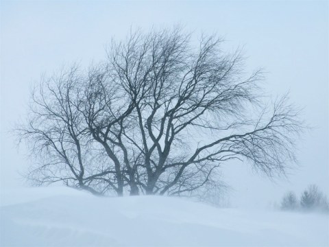 North Dakota's Schoolhouse Blizzard Was One Of The Worst Disasters In U.S. History