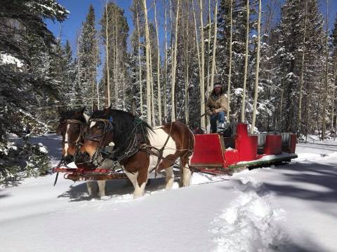 The 45-Minute Sleigh Ride At Snowy Mountain Stables In Arizona Takes You Through A Winter Wonderland