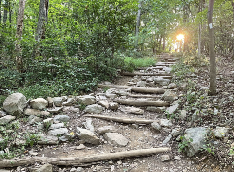 Hike This Stairway To Nowhere In Maryland For A Magical Woodland Adventure