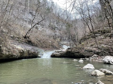 7 Picturesque Trails In Alabama That Are Perfect For Winter Hiking