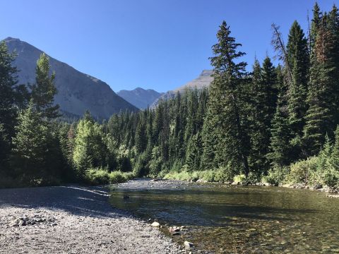 If There Are Only 5 Family Hikes You Ever Take In Montana, Follow These Easy Trails