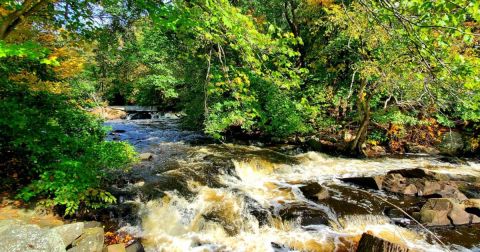 The Creepiest Hike In Rhode Island Takes You Through The Ruins Of An Old Mill