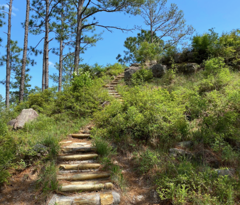 Take A Hidden Staircase To A Louisiana Overlook That’s Like Nothing You’ve Ever Seen Before