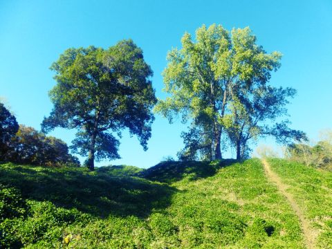 The One Loop Trail In South Carolina That's Perfect For A Day Hike, No Matter What Time Of Year