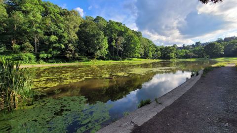 The One Loop Trail In Pittsburgh That's Perfect For A Short Day Hike, No Matter What Time Of Year