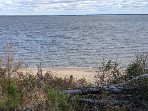 Soak Your Stress Away In The Forests Of North Carolina's Croatan National Forest At Flanners Beach