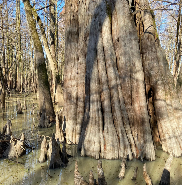 Sky Lake WMA