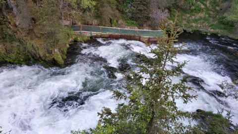 The Easy 5.2-Mile Russian River Falls Trail Will Lead You Through The Alaska Forest