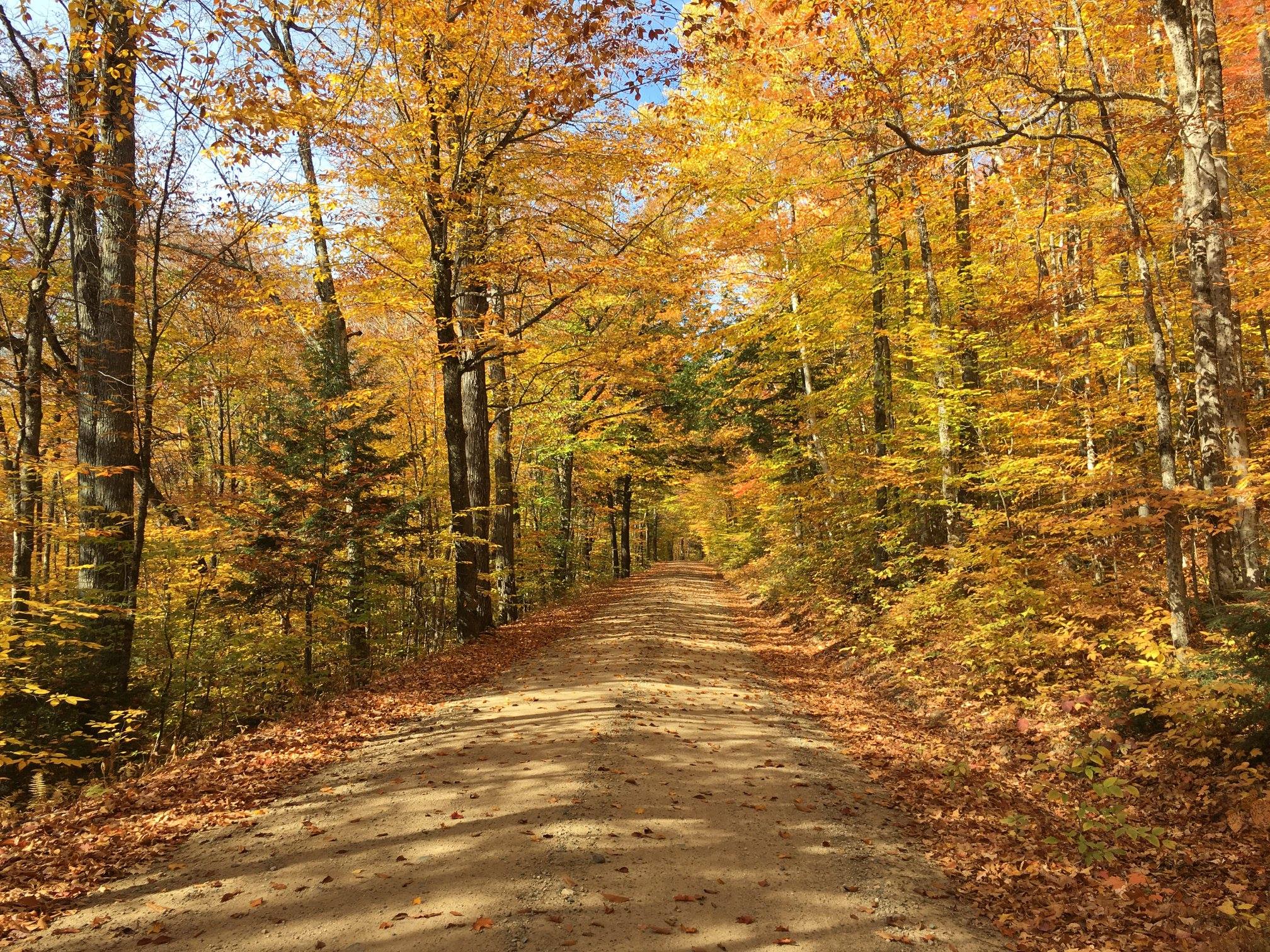 New Hampshire