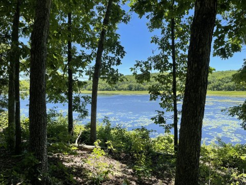 The Magnificent Crane Lake Trail In Missouri That Will Lead You To A Hidden Gem Lake