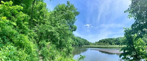 Explore A New Side Of The Midwest With The Maquoketa River Water Trail, A Special Kayak Trail In Iowa