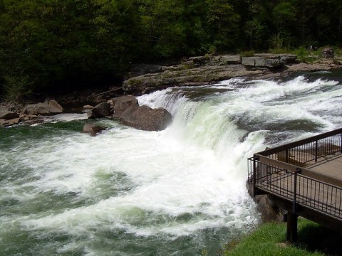 Pittsburgh’s Most Easily Accessible Waterfall Is Hiding In Plain Sight At Ohiopyle State Park