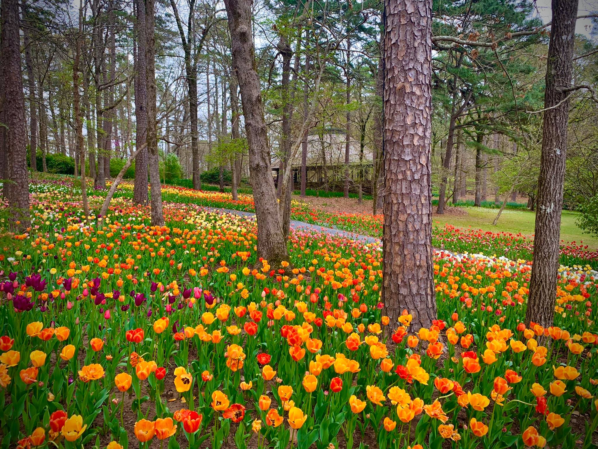 Arkansas