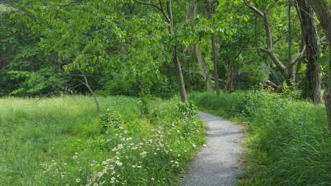 Explore A New Side Of White Clay Creek State Park With Whitely Farms Trail, A Special Horseback Riding In Delaware