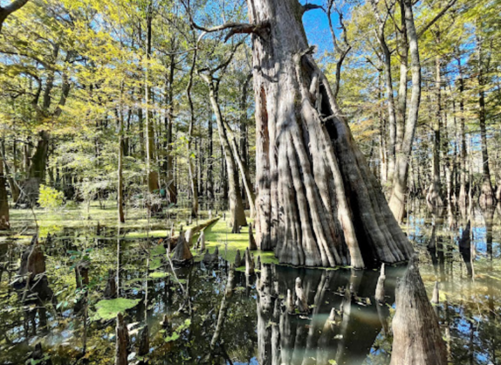 Sky Lake WMA