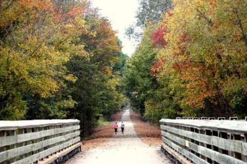 Few People Know This Charming Small Town In Mississippi Is The Halfway Point On The Tanglefoot Trail