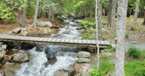 This Acadia National Park Trail Leads Through The Forest And Past A Waterfall For An Exhilarating Maine Day