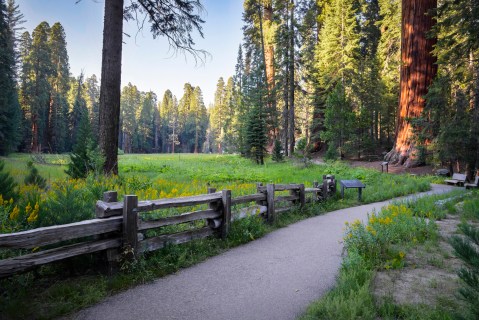 Sequoia National Park In Southern California Has Just Been Named One Of The Most Stunning Parks In The World