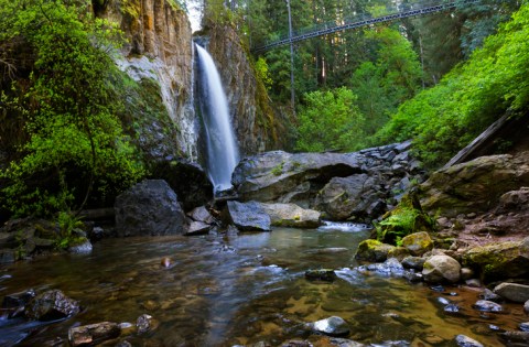 The One Trail In Oregon That's Perfect For A Short Day Hike, No Matter What Time Of Year