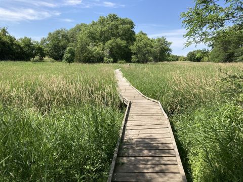 Hike At Prairie Rose State Park, Then Stop At Victoria Station For A World-Famous Tenderloin Sandwich In Harlan, Iowa